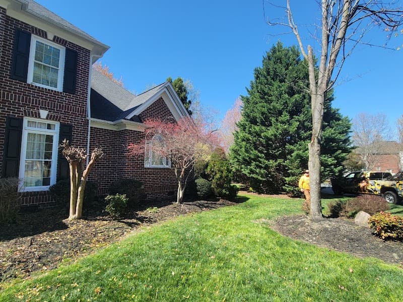 Bigfoot Forestry Rock Hill - Photo 2