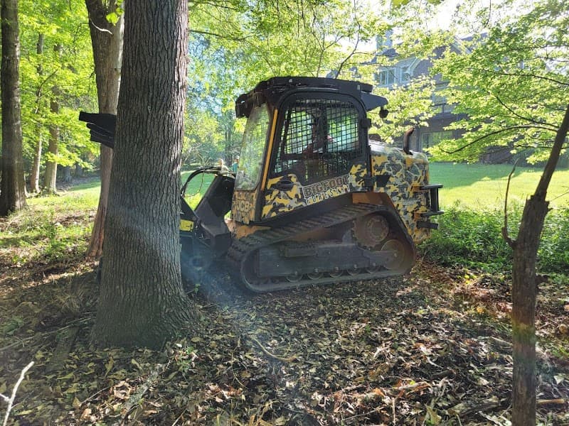 Bigfoot Forestry Rock Hill - Photo 3