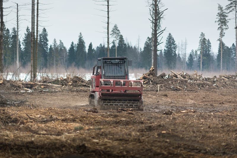 Blue Ridge Land Enhancements - Photo 3