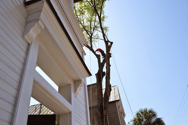 Charleston Tree Company LLC - Photo 1