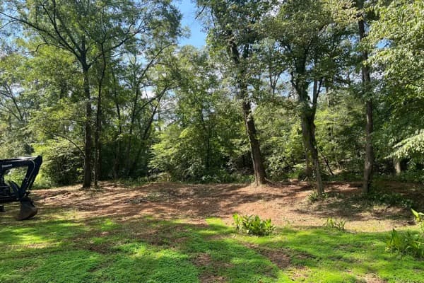 Corbin Land Management - Forestry mulching under hardwoods