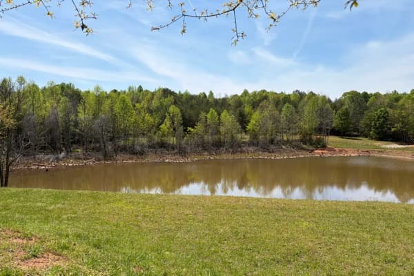 Corbin Land Management - Pond bank clearing and grading