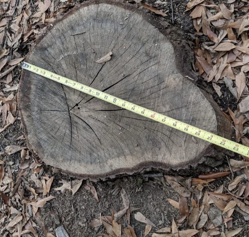 Elite Tree Removal of Columbia - Photo 3