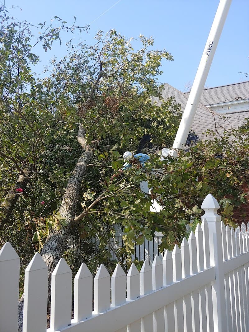 Embark Tree & Forestry Services - Photo 3