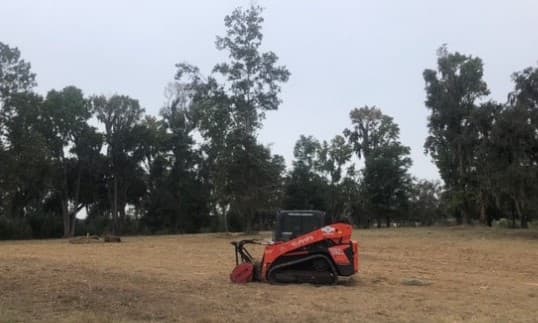 Green Gorilla Land Management - Photo 1