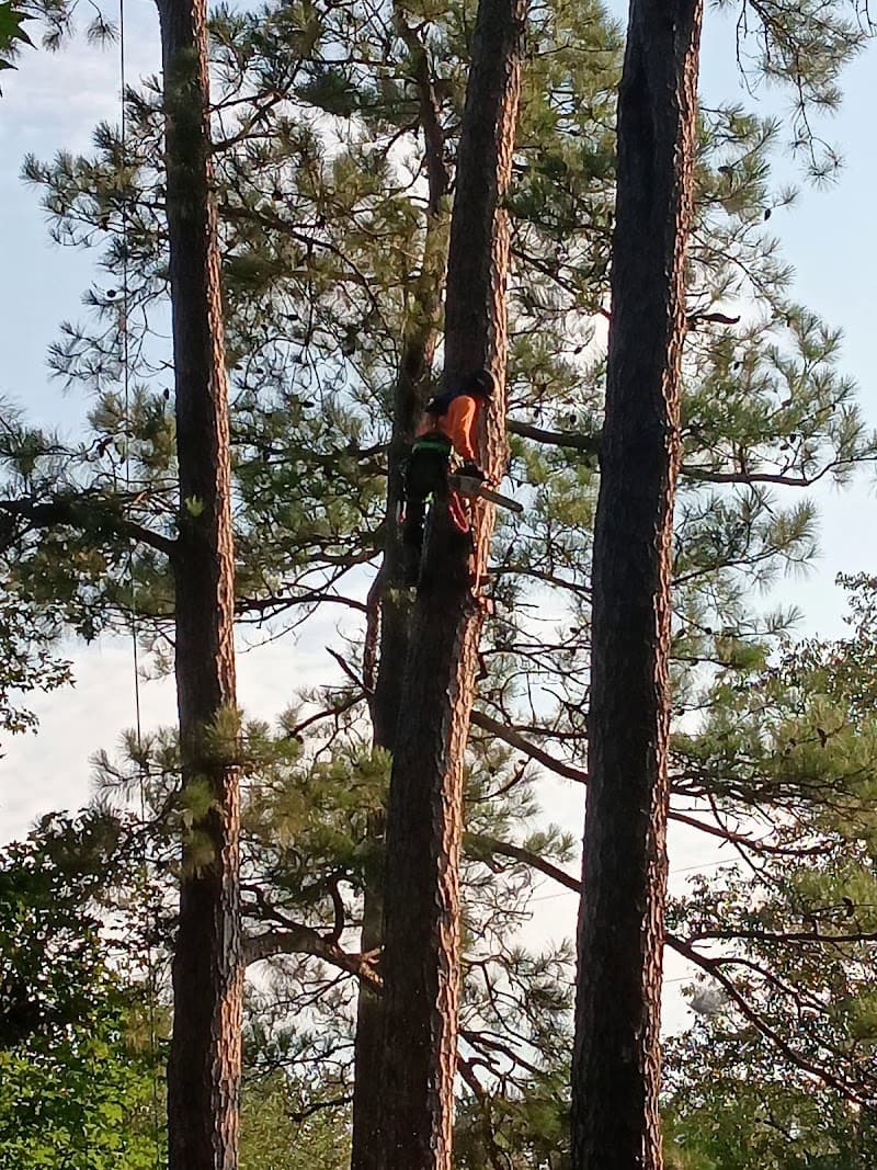 LandAid Solutions LLC - Photo 3