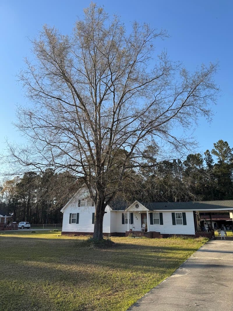 Landmark Land Clearing Myrtle Beach - Photo 2
