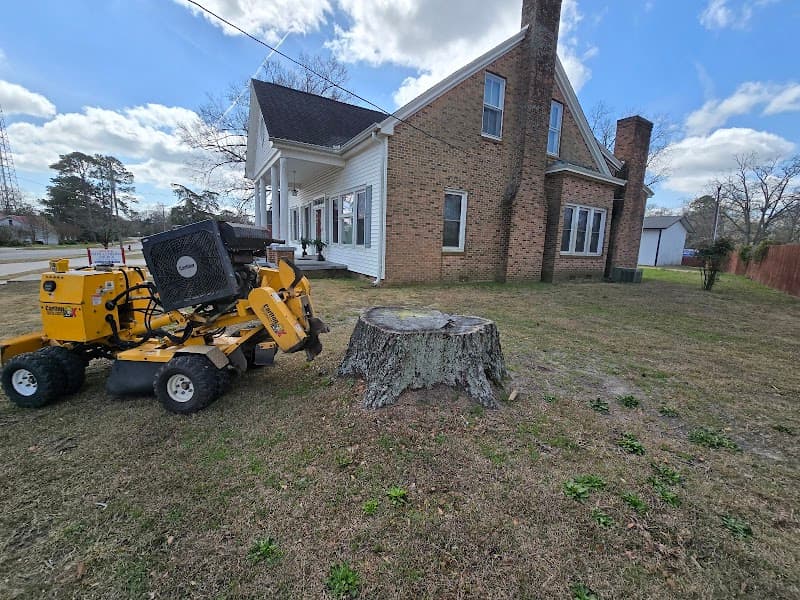 Lytle's Stump Grinding - Photo 2