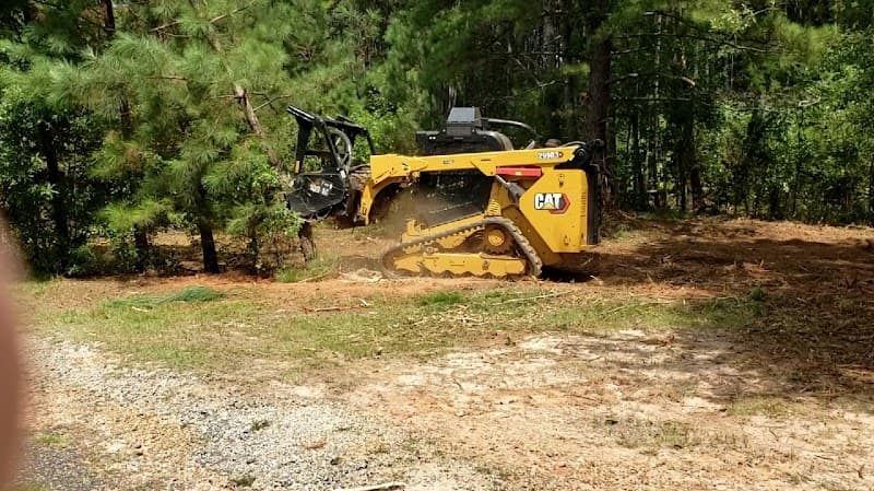 Matthew's land clearing Greenville SC - Photo 1