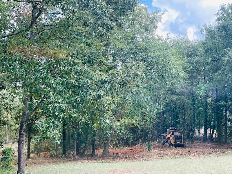 Matthew's land clearing Greenville SC - Photo 3