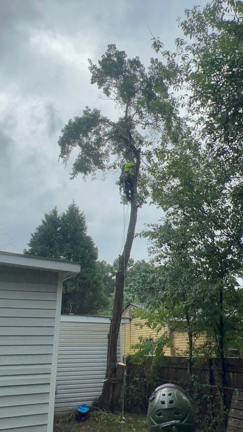 Salvation Land Management - Photo 2