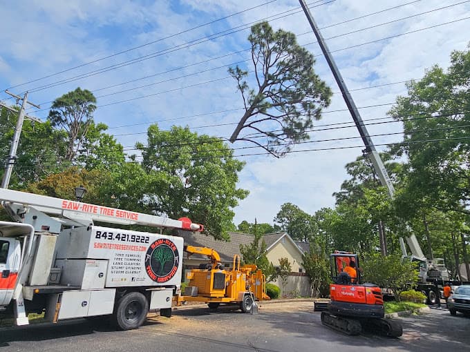 Saw-Rite Tree Service Myrtle Beach - Photo 1
