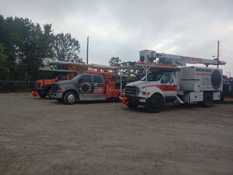 Saw-Rite Tree Service Myrtle Beach - Photo 3