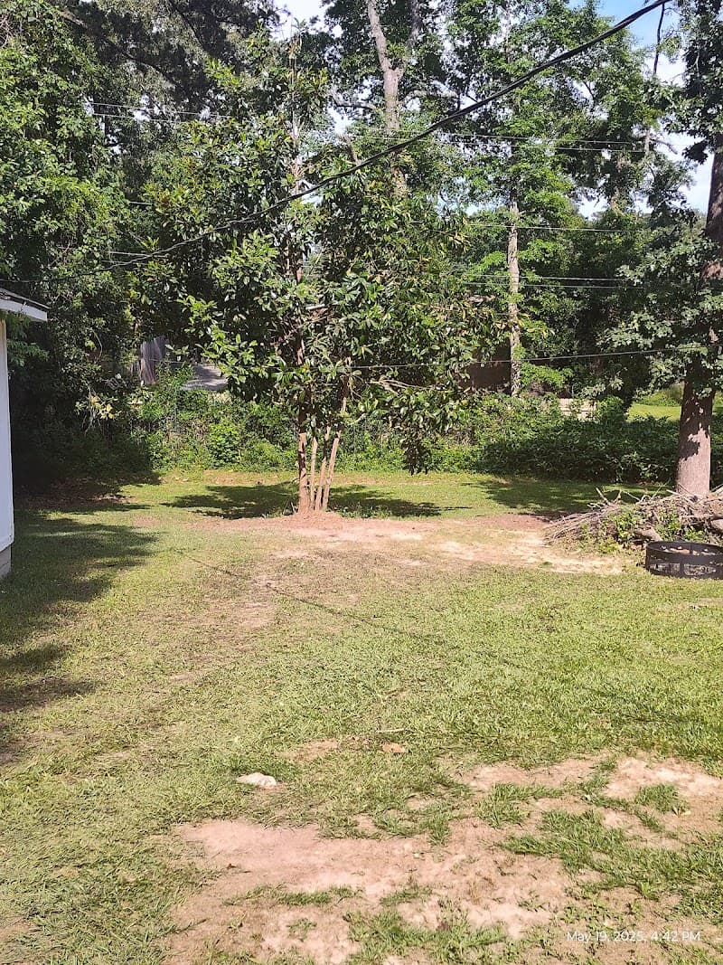 Top Cut Tree Service Columbia SC - Photo 1