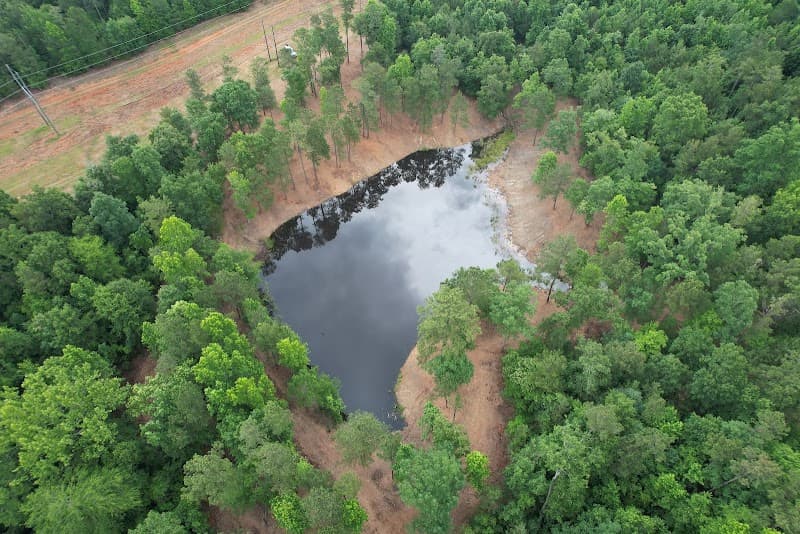 Wood Goat Vegetation Control Services - Photo 3